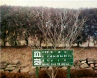 교화 이미지