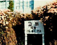교화 이미지