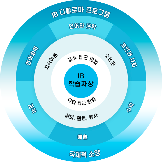 IB 디플로마 프로그램, 국제적소양, 언어습득, 언어와 문학, 개인과 사회, 수학, 예술, 과학, 지식이론, 소논문, 창의,활동,봉사, 교수 접근 방법, 학습 접근 방법