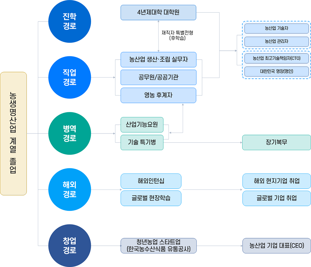 진학경로, 직업경로, 병역경로, 창업경로에 대한 소개 이미지입니다. 자세한 내용은 하단 참조