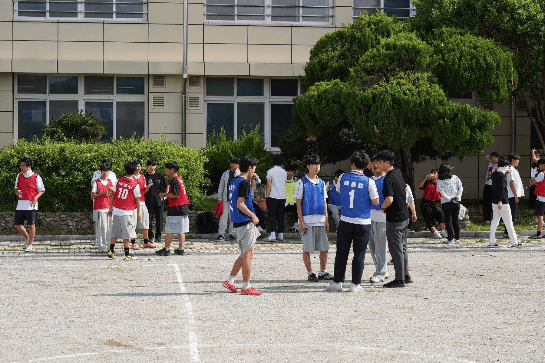 화요 활력데이 축구리그 이미지