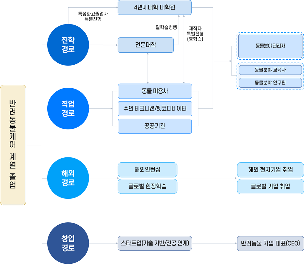 반려동물케어계열