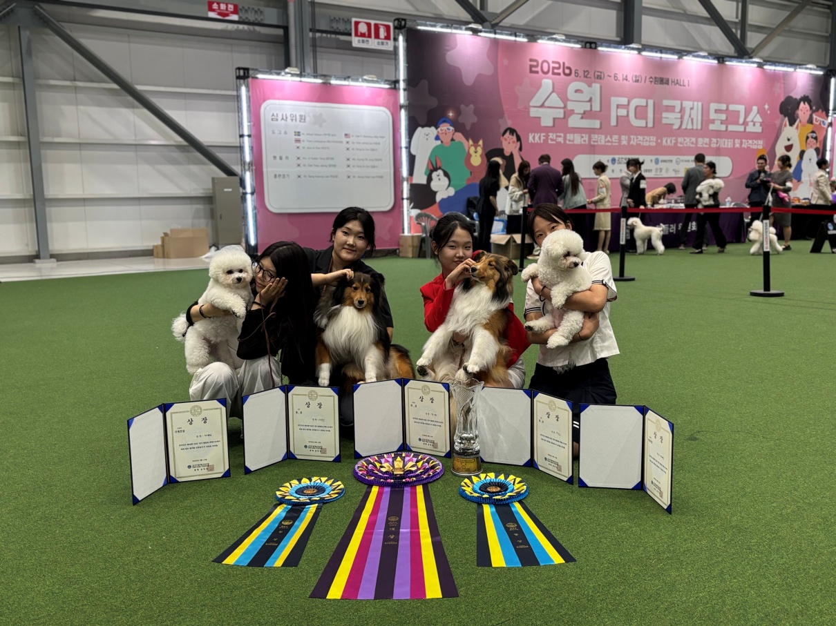 핸들링 콘테스트 수상