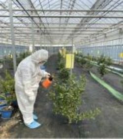 물주는 사진 이미지