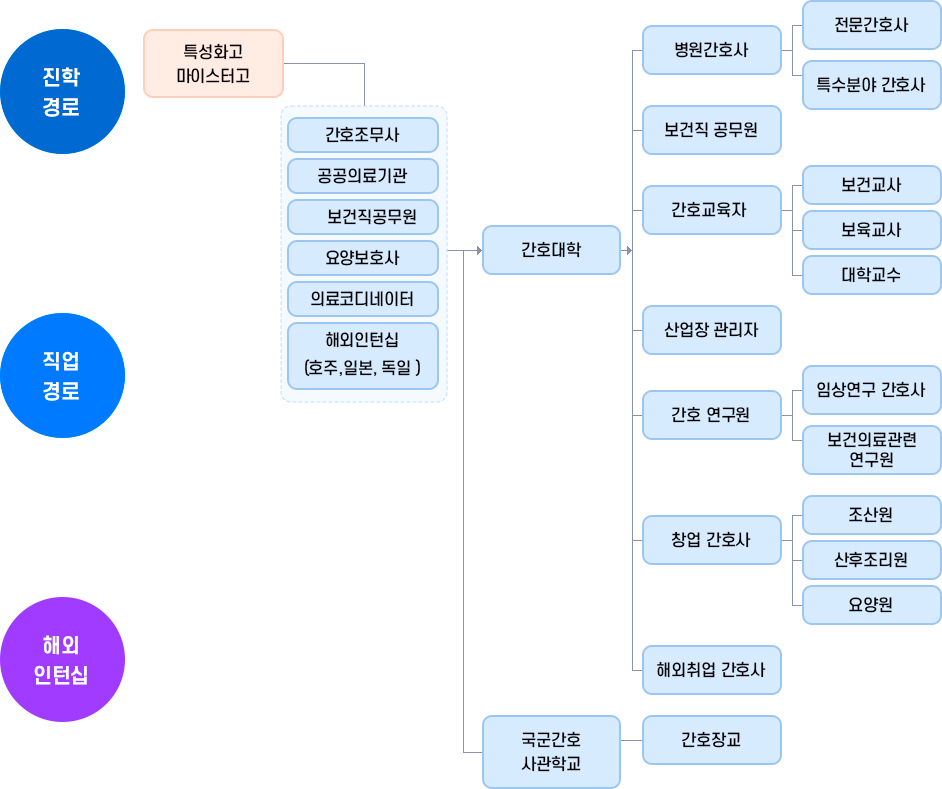 진학경로, 직업경로, 해외인턴십에 대한 소개 이미지입니다. 자세한 내용은 하단 참조
