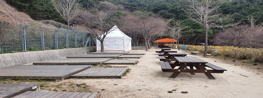 태백-5 야영지 이미지