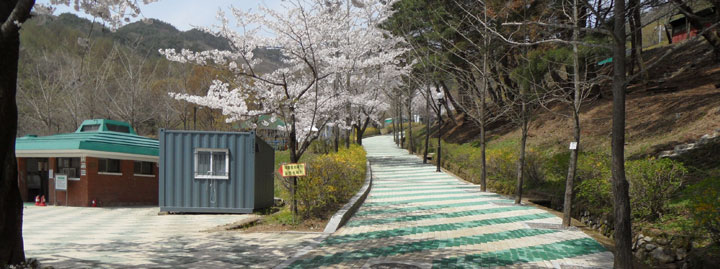 설악 야영지 주도로 이미지