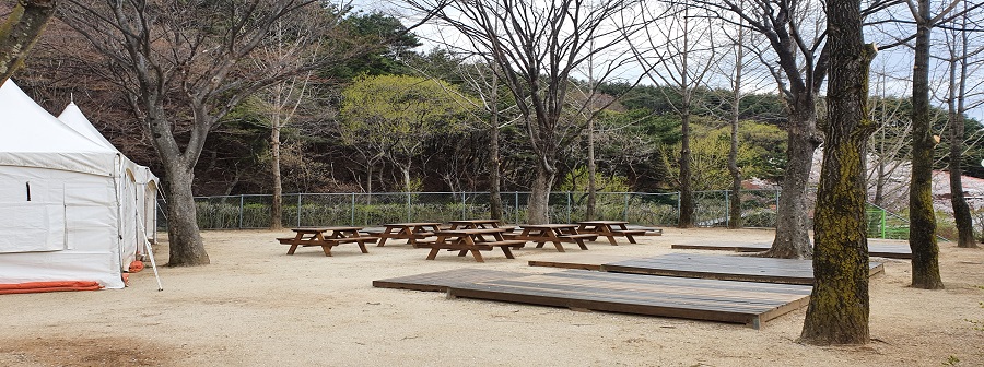 태백-1 야영지 이미지