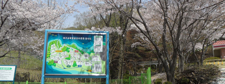 야영장 전경도2 이미지
